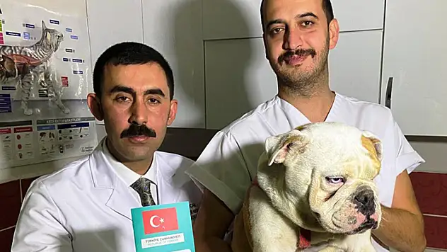 Konya Veteriner Hekimleri Odası Başkanı Koçak: Türkiye'de 629 bin 165 sahipli hayvana çip takıldı
