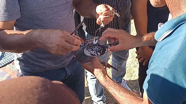 Konya yolunda yürek ısıtan kurtarma