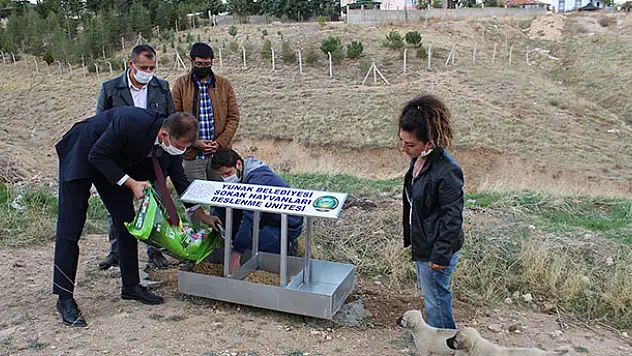 Konya Yunak'ta sokak hayvanları için beslenme noktaları oluşturuldu
