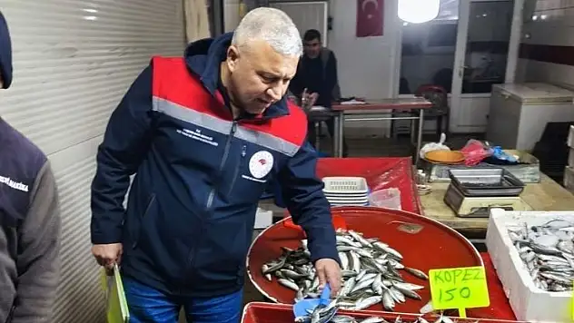 Konya'da su ürünleri denetlendi, balık boyları tek tek ölçüldü