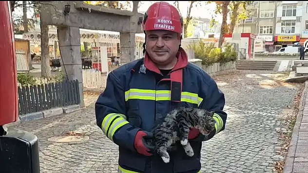 Konya'da ağaçta mahsur kalan kedi kurtarıldı