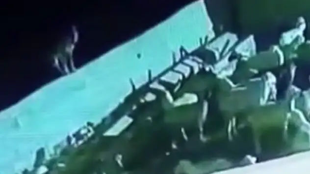 Konya'da ağıla giren kurt koyunu telef etti
