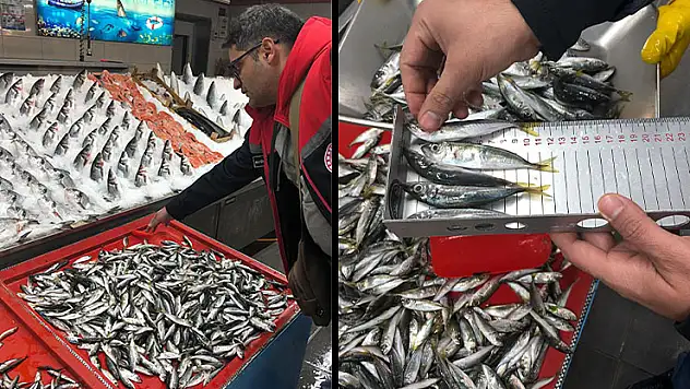 Konya'da balık boy limiti denetimleri devam ediyor