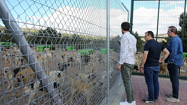 Konya'da belediyelerin çabası meyvesini verdi