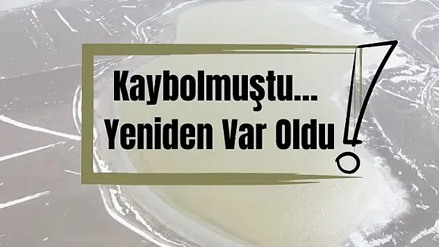 Konya'da bu göl 4 yıl sonra hayata geri döndü