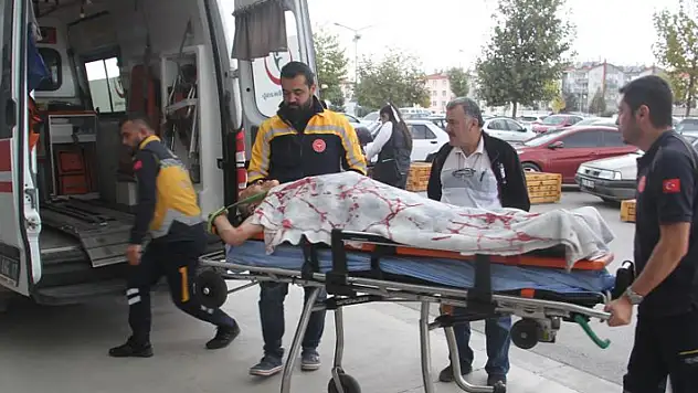 Konya'da ceviz ağacından düşen 3 kişi yaralandı
