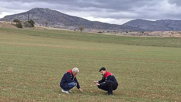 Konya'da çiftçiyi sevindirecek gelişme