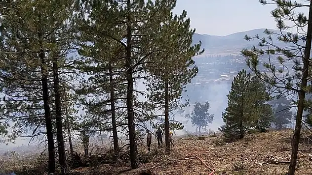 Konya'da çıkan orman yangını kontrol altına alındı
