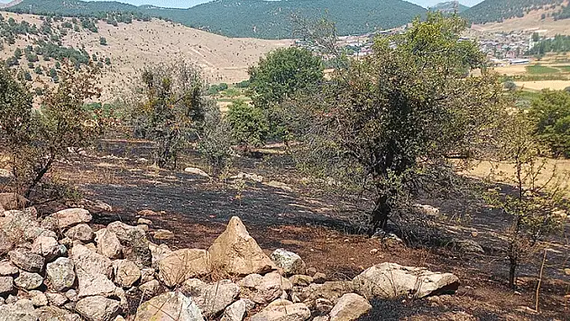 Konya'da çıkan yangın söndürüldü