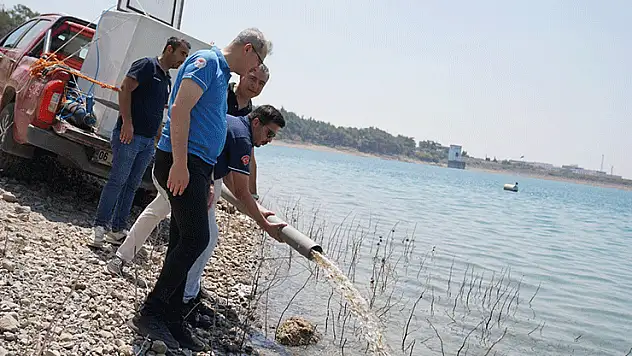 Konya'da dahil 10 milyon 500 bin yavru sazan göl ve göletlere bırakıldı