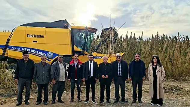 Konya'da endüstriyel kenevirin hasadı başladı