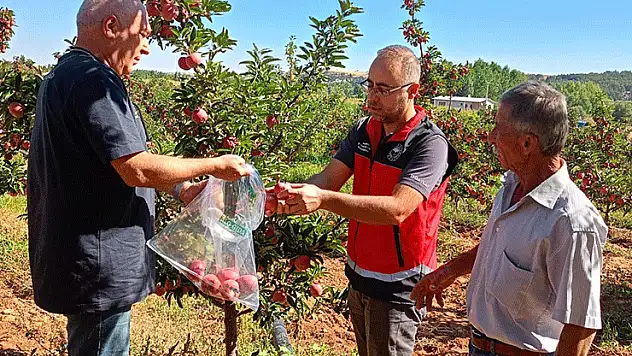 Konya'da hasat öncesi pestisit denetimleri başladı