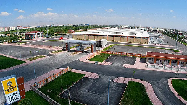 Konya'da hayvan pazarları yeniden açılıyor