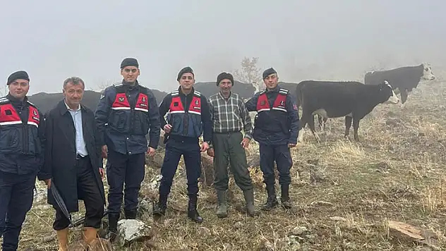 Konya'da hayvanları kaybolan kişinin imdadına jandarma yetişti