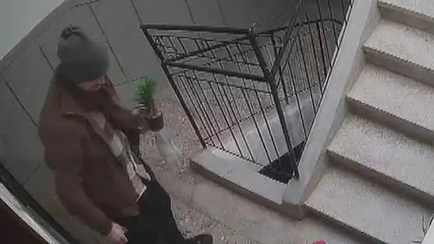 Konya'da ilginç hırsızlık: Ayakkabıları beğenmeyince çiçeği aldı