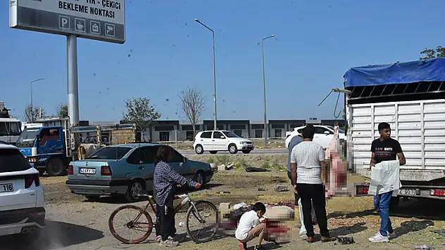 Konya'da izinsiz kurban pazarında, kaçak ve hijyenik olmayan kesim