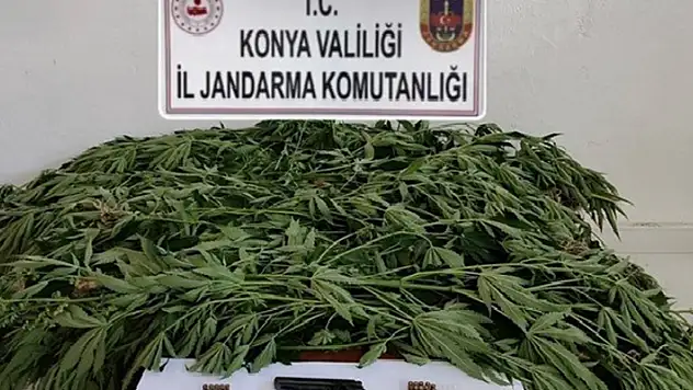 Konya'da jandarmadan uyuşturucu operasyonu: 3 gözaltı
