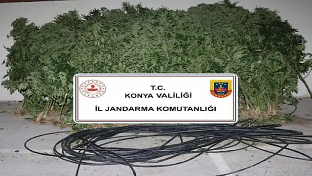 Konya'da jandarmadan uyuşturucu ve silah operasyonu
