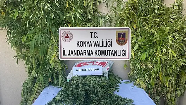 Konya'da jandarmanın uyuşturucu operasyonunda 2 kişi gözaltına alındı
