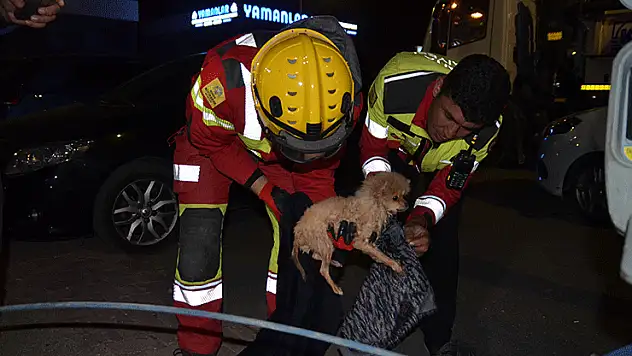 Konya'da kanalizasyon borusuna sıkışan köpek yavrusu itfaiyenin 6 saatlik çalışmasıyla kurtarıldı