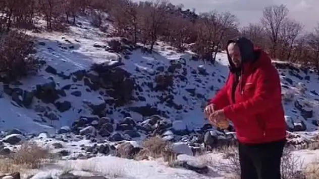 Konya'da kar yağışı yaban hayvanlarını olumsuz etkiledi
