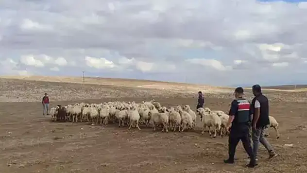 Konya'da kaybolan sürü, dron sayesinde bulundu