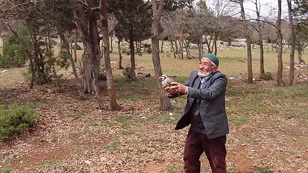 Konya'da kınalı keklikler doğaya salındı