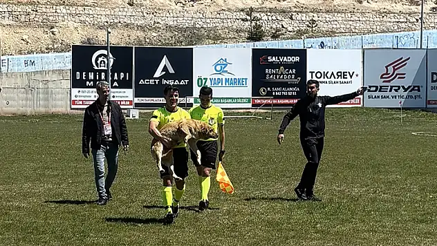 Konya'da köpeğe kırmızı kart gösteren hakem o anları anlattı