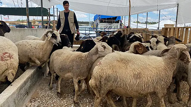 Konya'da kurban satıcıları arife günü yoğunluk bekliyor