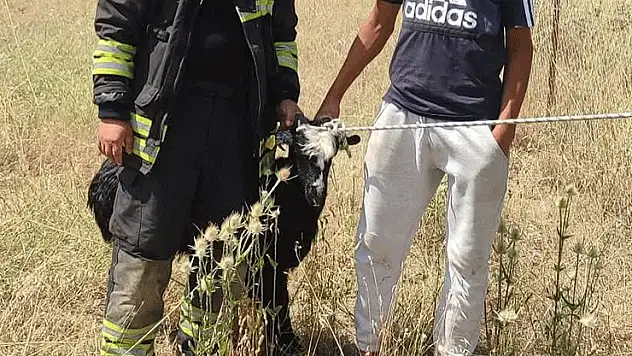 Konya'da kuyuya düşen keçi itfaiye ekiplerince kurtarıldı