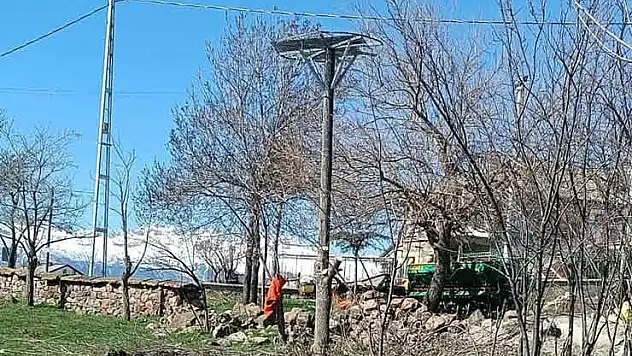 Konya'da leylekler için örnek davranış