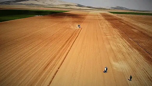 Konya'da o belediye 39 adet tarlayı kiraya verecek