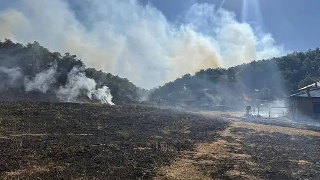 Konya'da orman yangını, kısa sürede söndürüldü