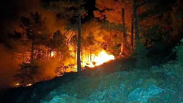 Konya'da ormanlık alanda çıkan yangın söndürüldü
