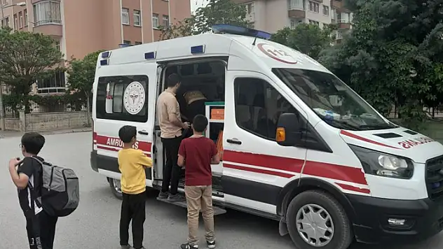 Konya'da ortaokul öğrencisi başına gelen taşla yaralandı
