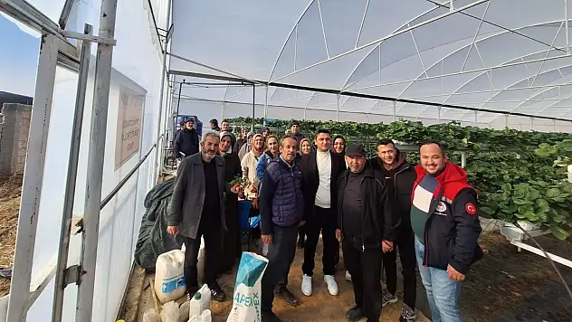Konya'da örtüaltı sebze yetiştiriciliği yaygınlaşıyor
