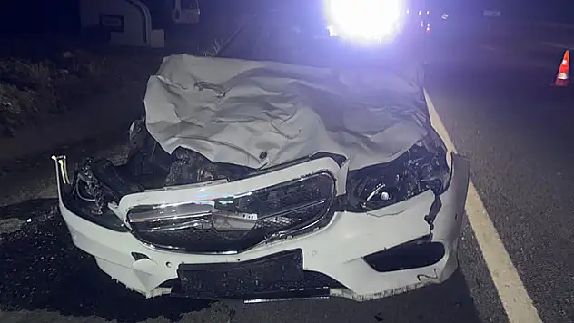 Konya'da otomobilin çarptığı 3 inek telef oldu