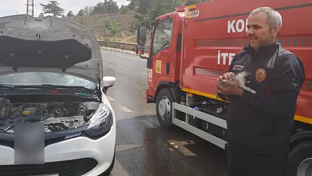 Konya'da otomobilin motoruna sıkışan kedi kurtarıldı
