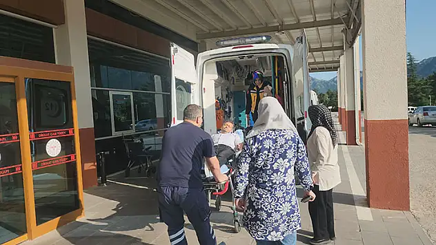 Konya'da pikniğe giden kişiyi yılan ısırdı