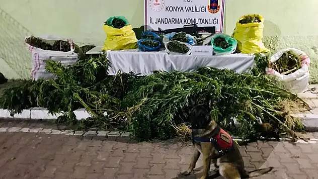 Konya'da saman yığınlarının arasında 23 kilo uyuşturucu ele geçirildi
