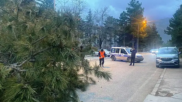 Konya'da şiddetli fırtınada 1 kişi yaralandı