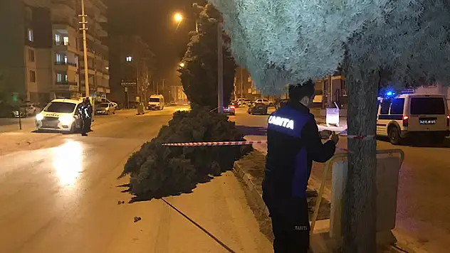 Konya'da şiddetli rüzgar ağaçları devirdi