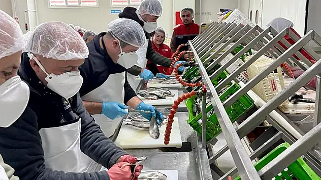 Konya'da 'Su Ürünleri İşleme Elemanı Kursu' tamamlandı