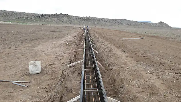 Karapınar'da sokak hayvanları artık daha güvende olacak