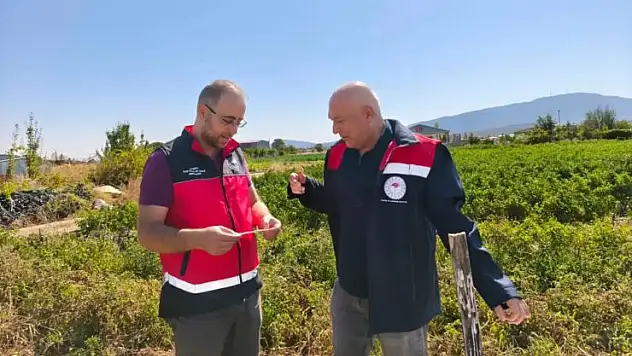 Konya'da tarım alanları takip altında