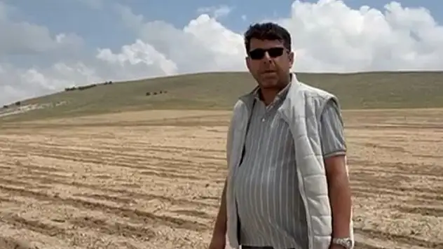 Konya'da tarım alanlarında domuz nöbeti