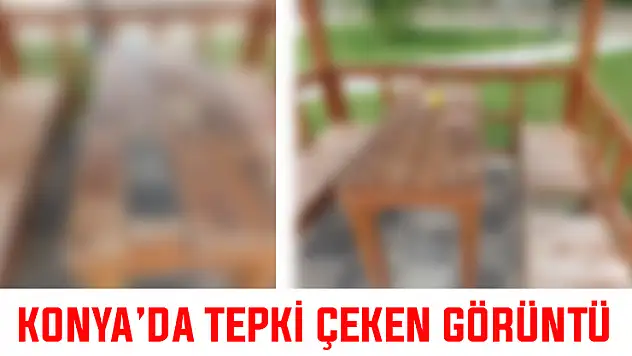 Konya'da üzücü manzara! 'Yabani hayvan diyorum çünkü insan olamaz'
