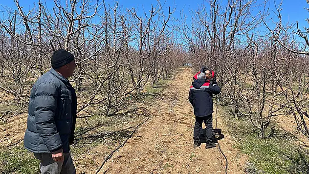 Konya'da yaşanan zirai don için hasar tespitine başlandı