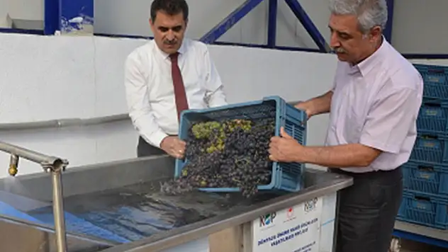 Konya'da yeni sezon pekmez üretimi  başladı
