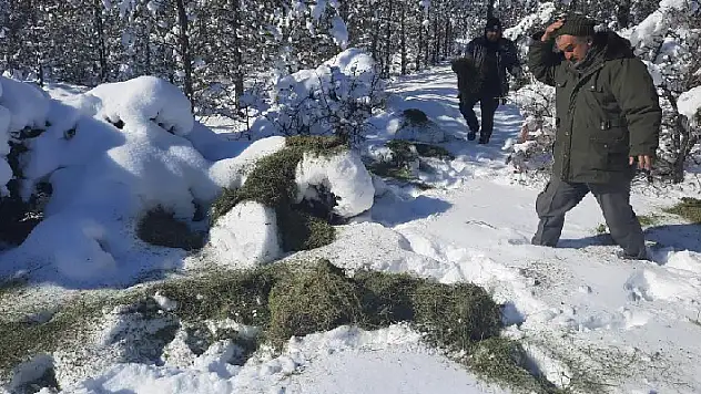 Konya'da yiyecek bulmakta zorlanan yaban hayvanları için doğaya yiyecek bırakıldı
